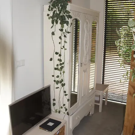 Natural Loft Apartment