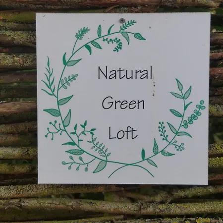 Natural Loft 卑尔根